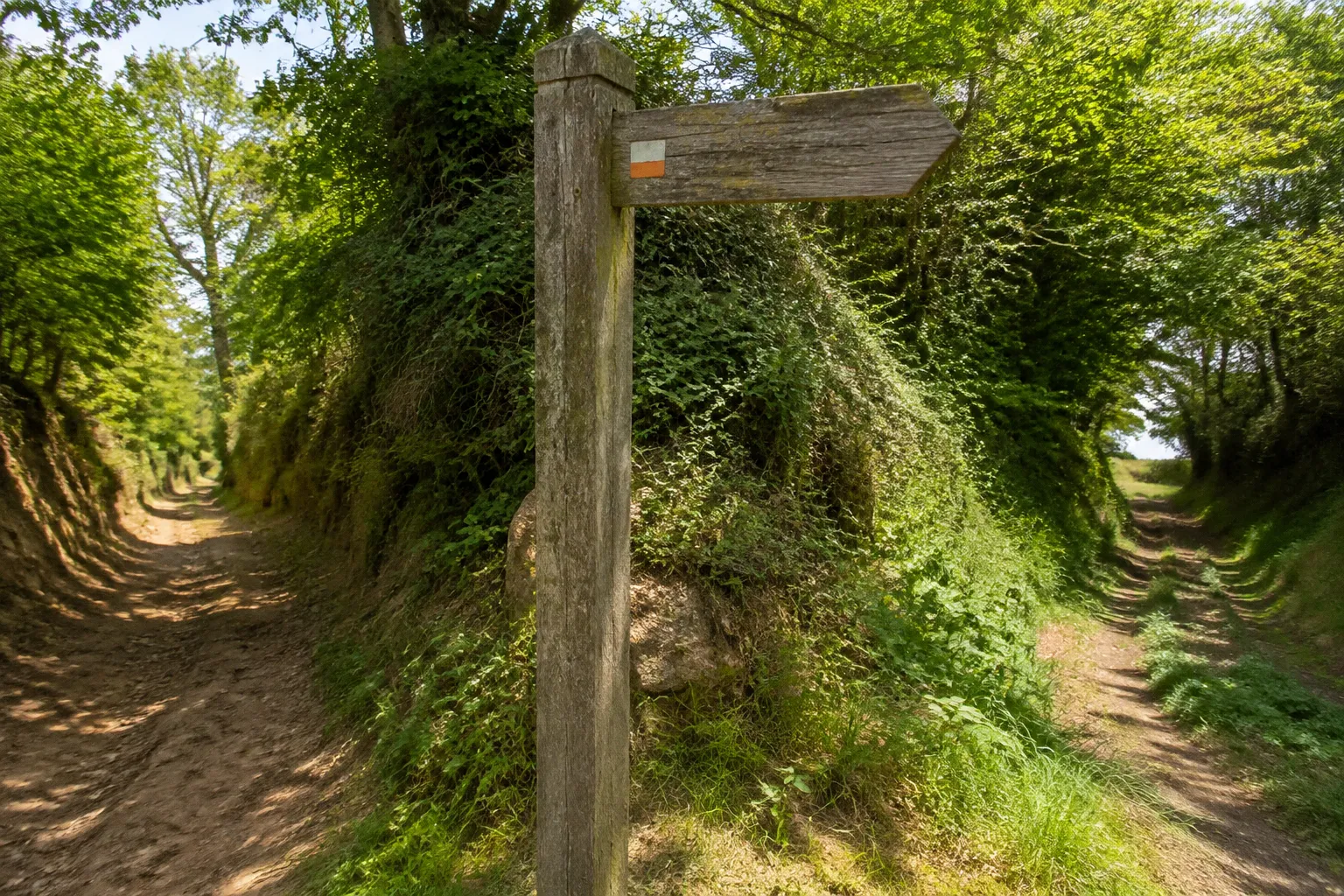 Bocage de l'Argoat : l'avant-après des chemins creux